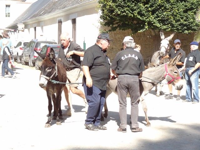 fete ane 2018 (43).JPG